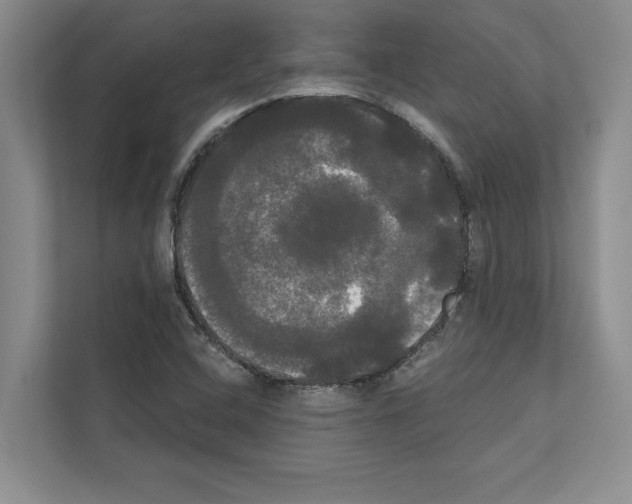 X0000111021408200907310922