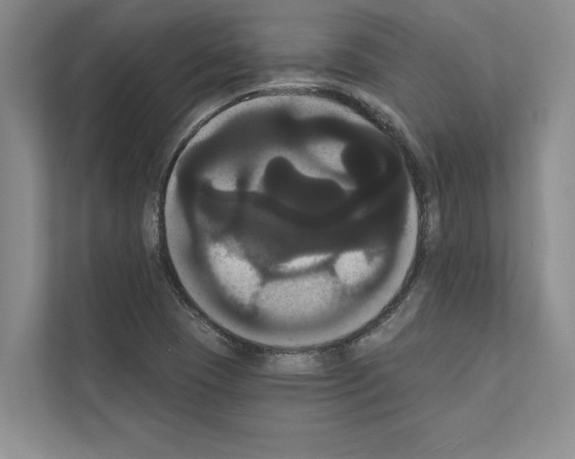 X0000111021409200907310922