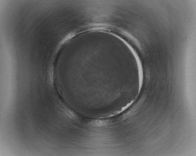 X0000111021411200907310922