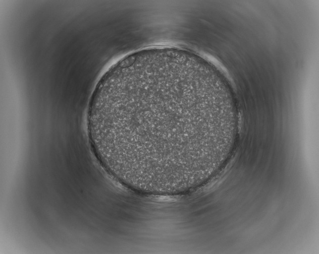 X0000111021412200907310922