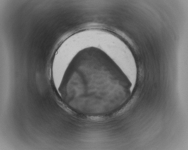 X0000111021413200907310922