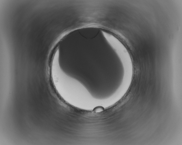 X0000111021414200907310922