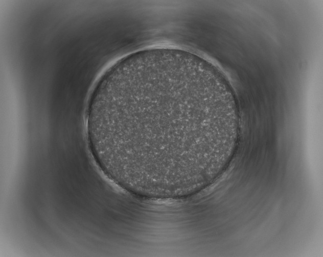 X0000111021416200907310922
