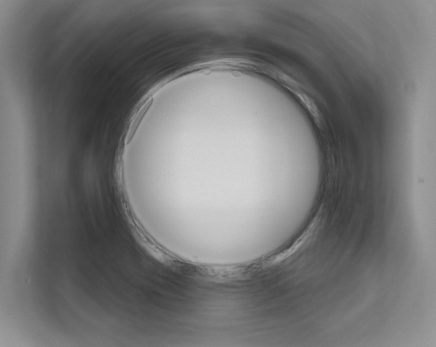 X0000111021417200907310922