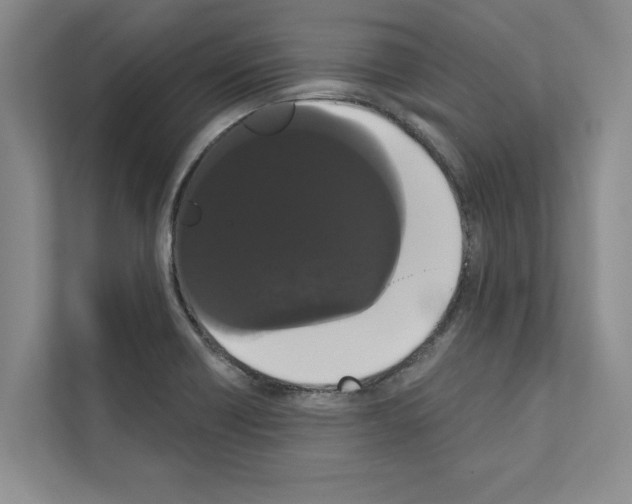 X0000111021418200907310922