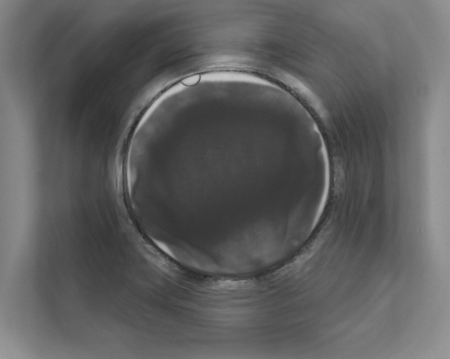 X0000111021419200907310922
