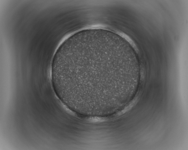X0000111021420200907310922