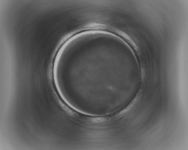 X0000111021421200907310922