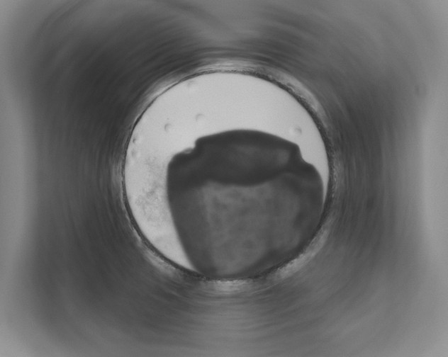 X0000111021425200907310922