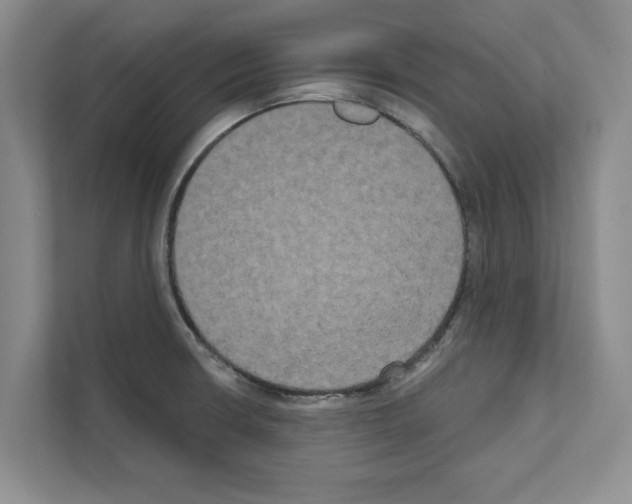 X0000111021426200907310922