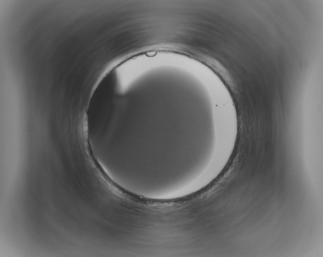 X0000111021428200907310922