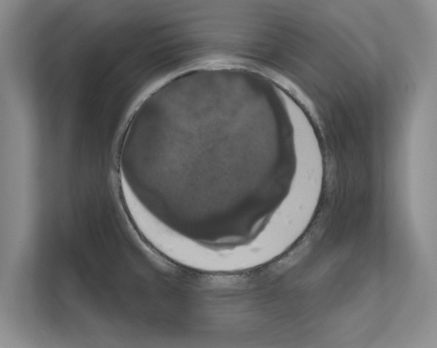 X0000111021429200907310923