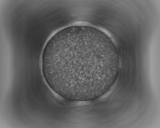 X0000111021430200907310923
