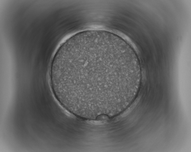 X0000111021432200907310923