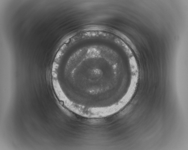 X0000111021433200907310923