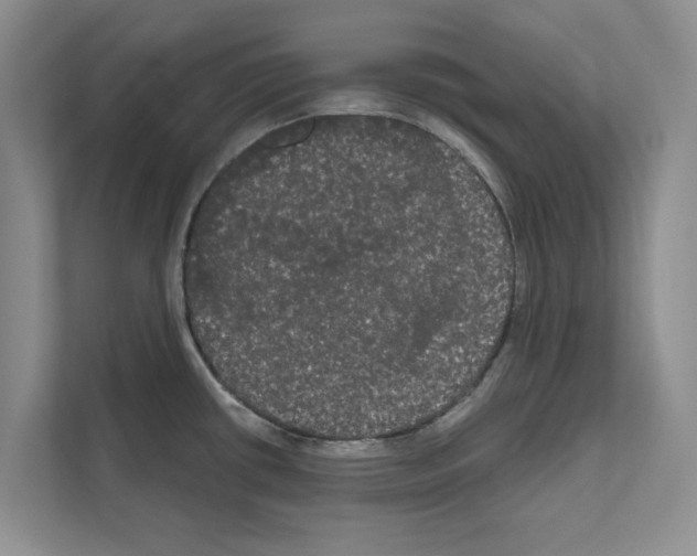 X0000111021434200907310923