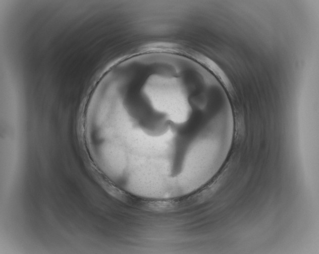X0000111021435200907310923