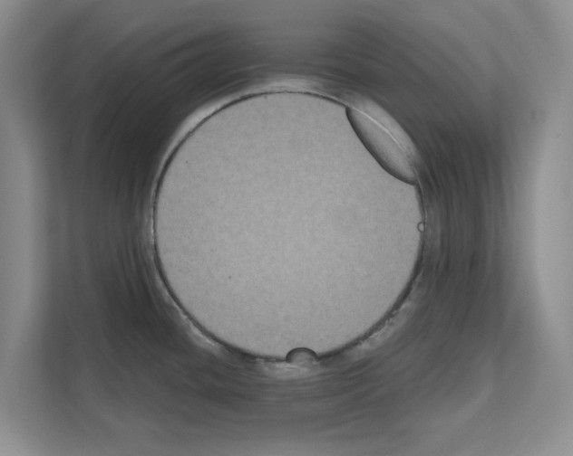 X0000111021436200907310923