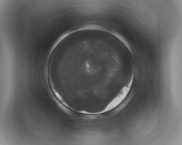 X0000111021438200907310923