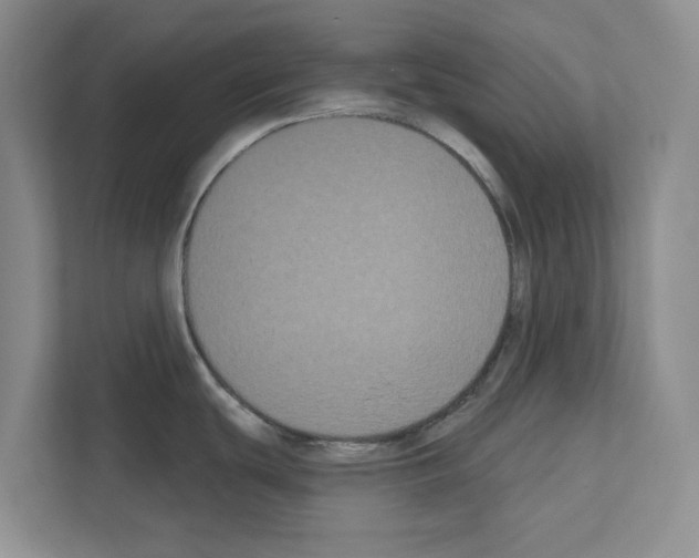 X0000111021439200907310923