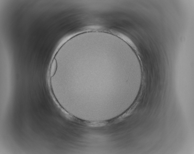X0000111021440200907310923