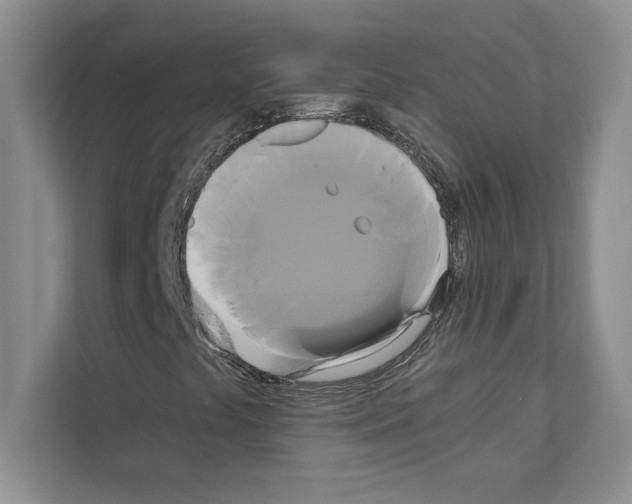 X0000111021441200907310922