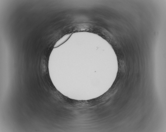 X0000111021442200907310922