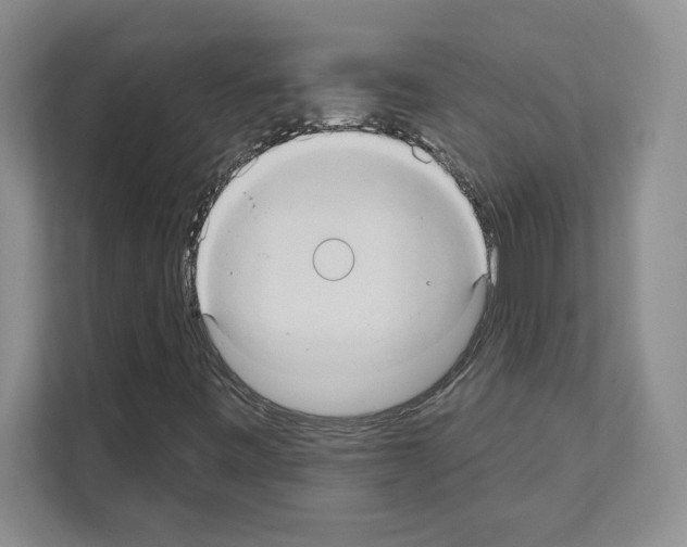 X0000111021443200907310922