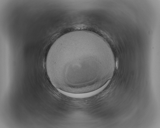 X0000111021444200907310922
