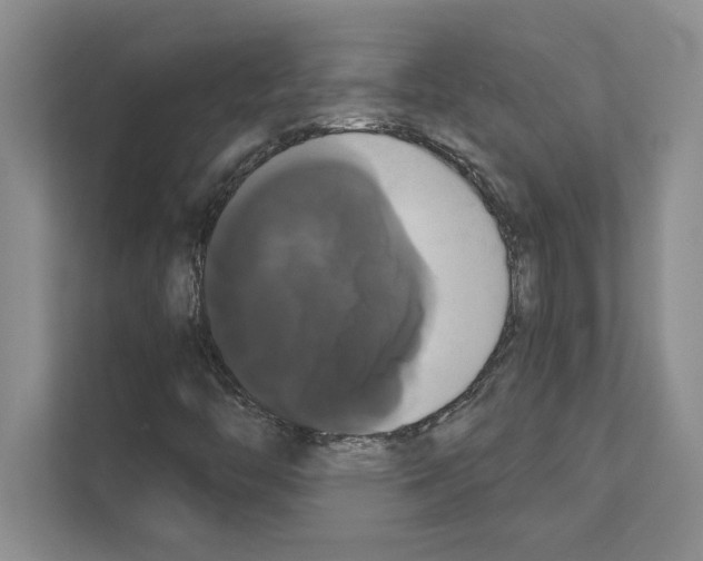 X0000111021446200907310922