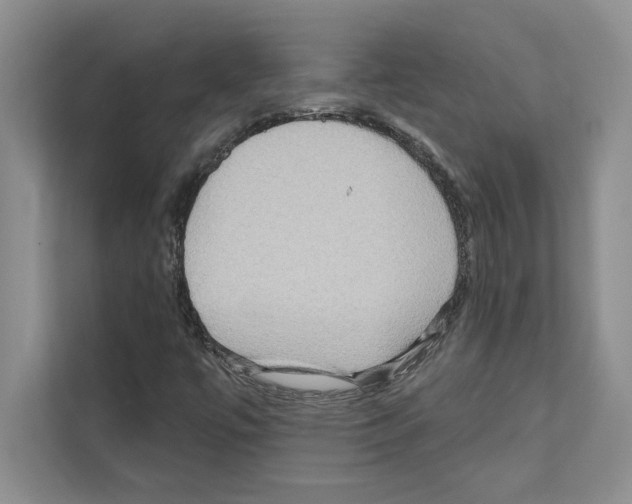 X0000111021447200907310922