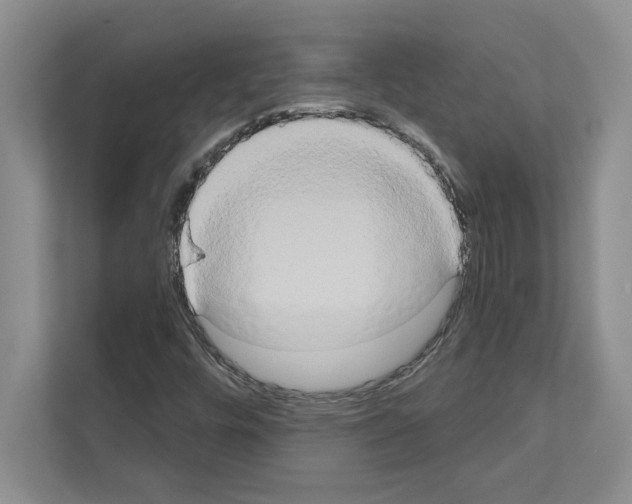 X0000111021448200907310922
