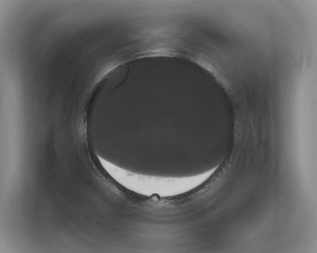 X0000111021450200907310922