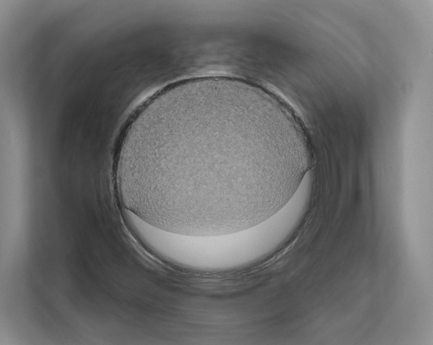 X0000111021452200907310922