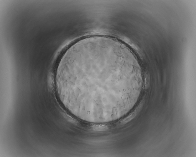 X0000111021454200907310922