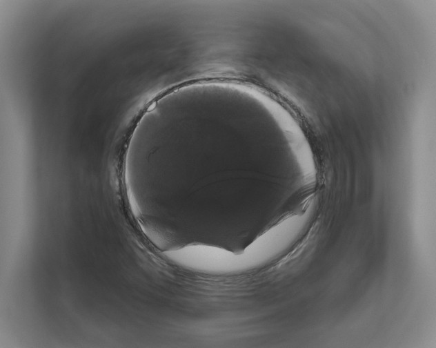 X0000111021455200907310922