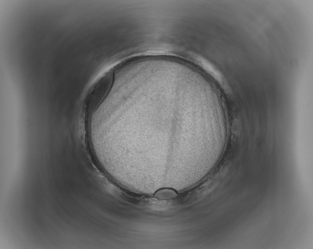 X0000111021456200907310922