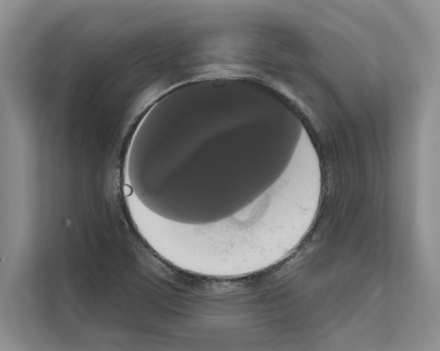 X0000111021459200907310922