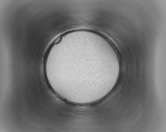X0000111021460200907310922