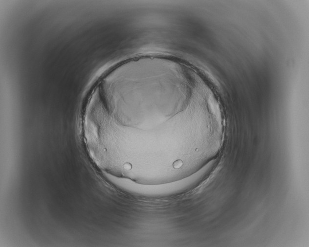 X0000111021461200907310922