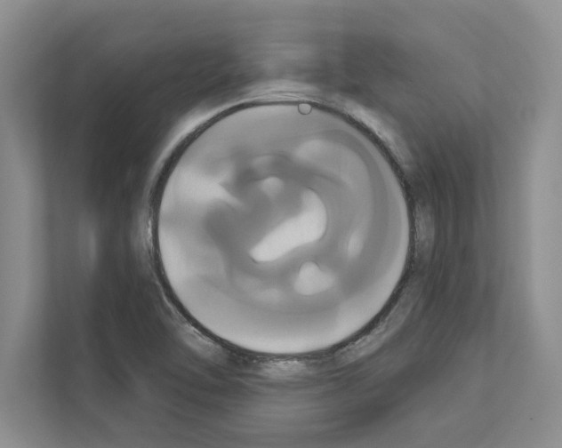 X0000111021462200907310922