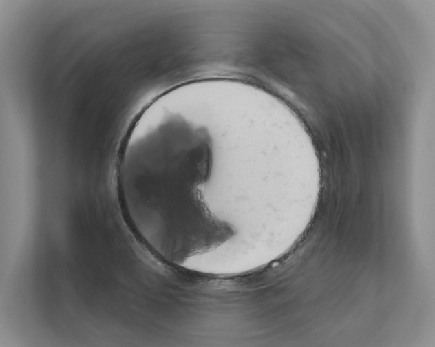 X0000111021463200907310922