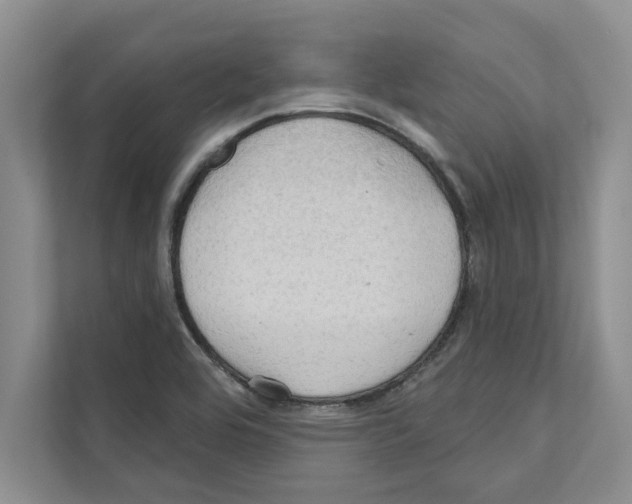 X0000111021464200907310922