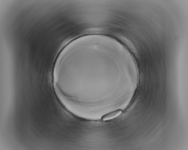 X0000111021465200907310922
