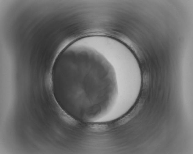 X0000111021466200907310922
