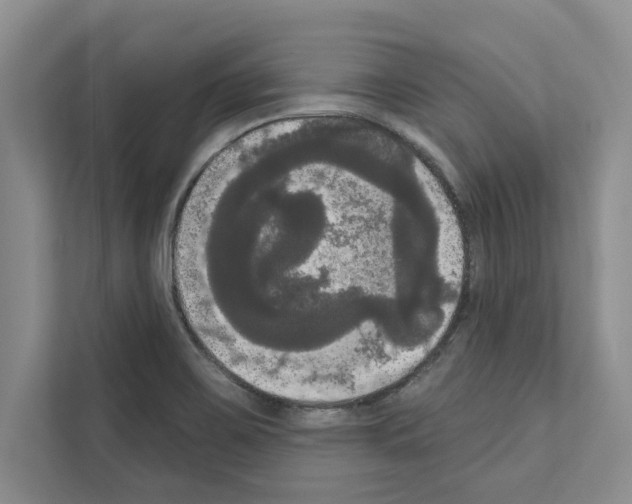 X0000111021467200907310922
