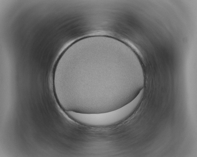 X0000111021468200907310922
