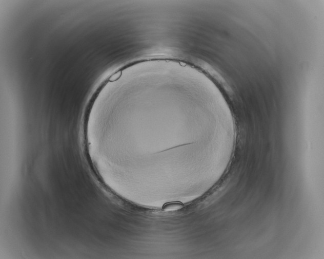 X0000111021469200907310922