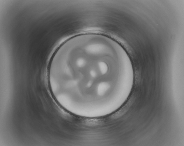 X0000111021470200907310922