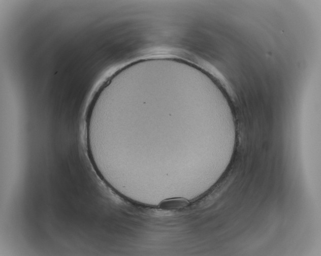 X0000111021472200907310922